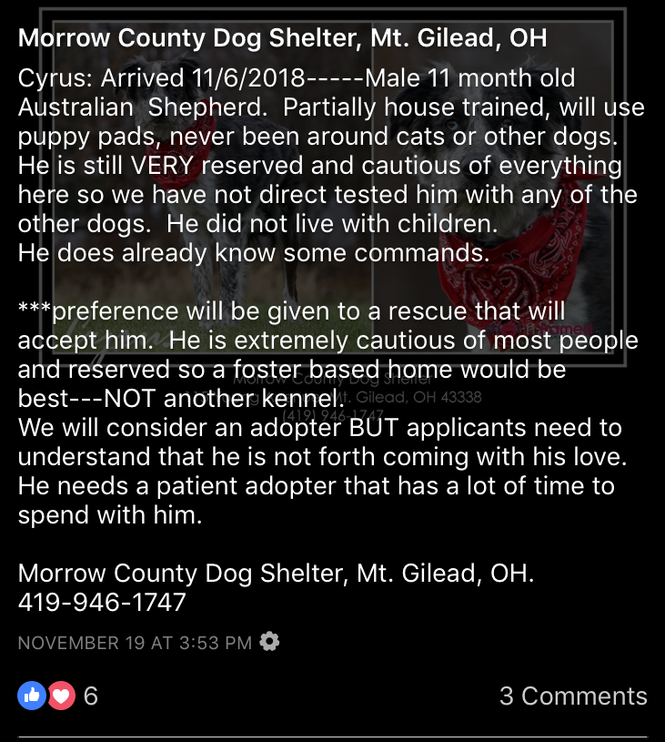 Cyrus1